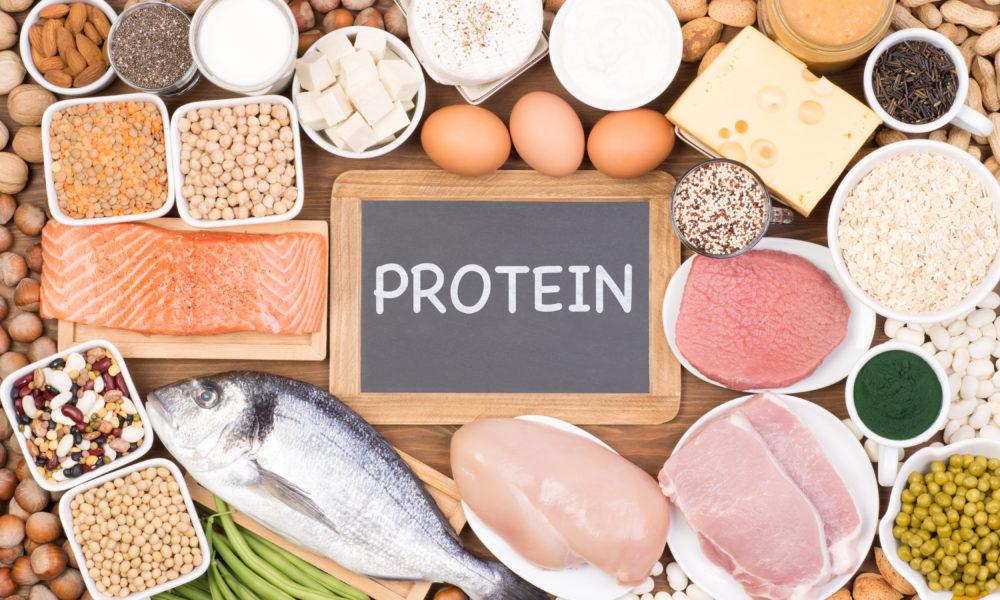 Protein food sources