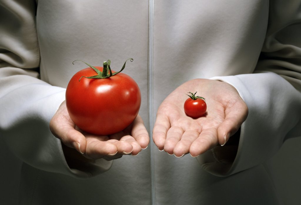 تفاوت محصولات ارگانیک و GMO
