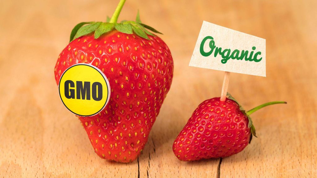 مواد ارگانیک و GMO