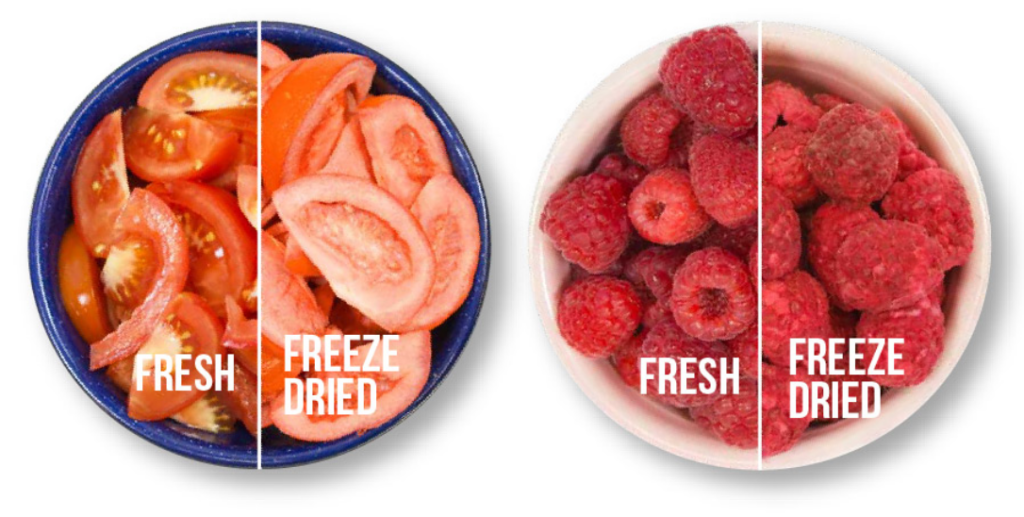 freeze dried