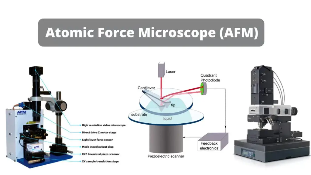 Atomic Force Microscope AFM