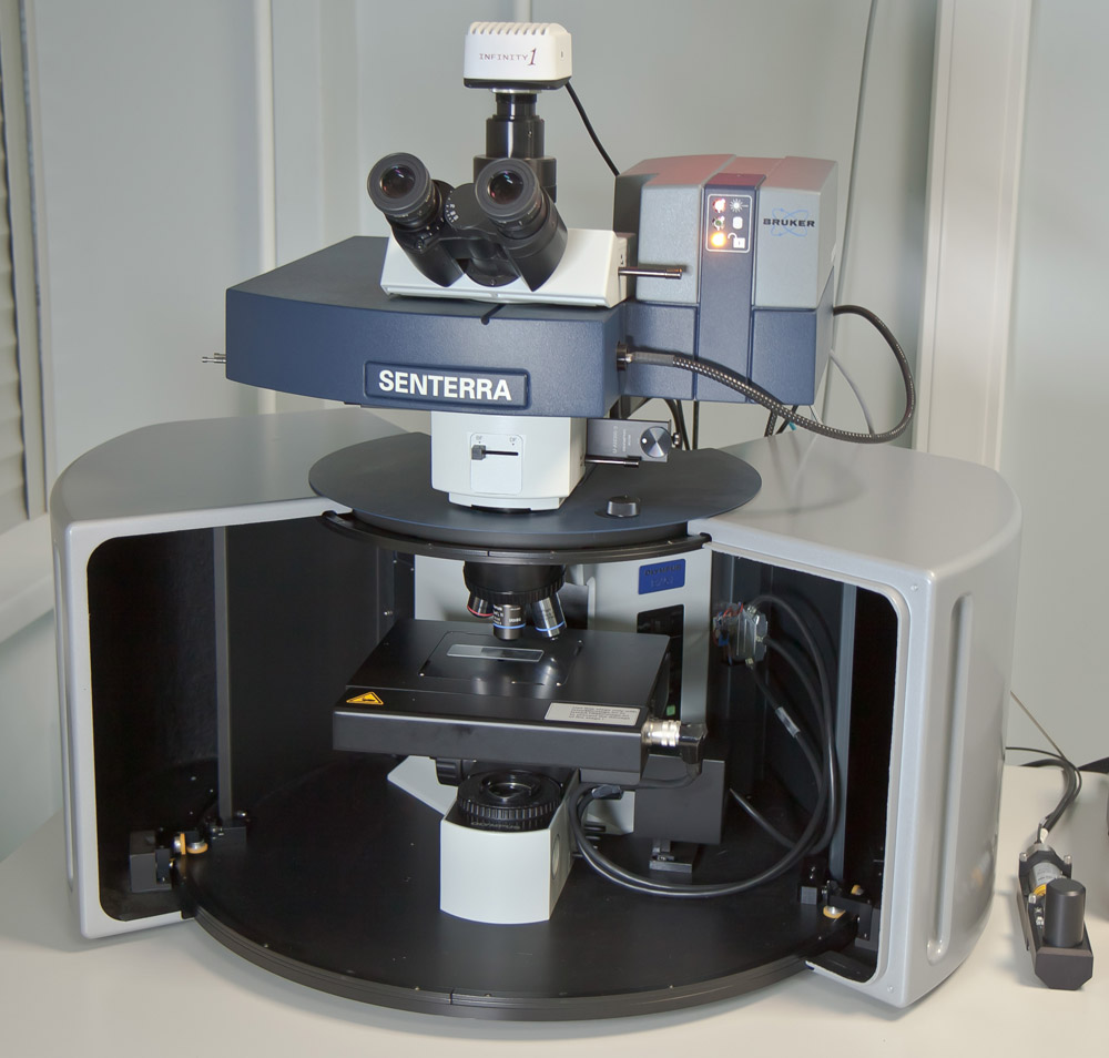 Senterra Raman spectroscopy