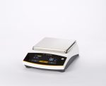 Sartorius BCE622-1S