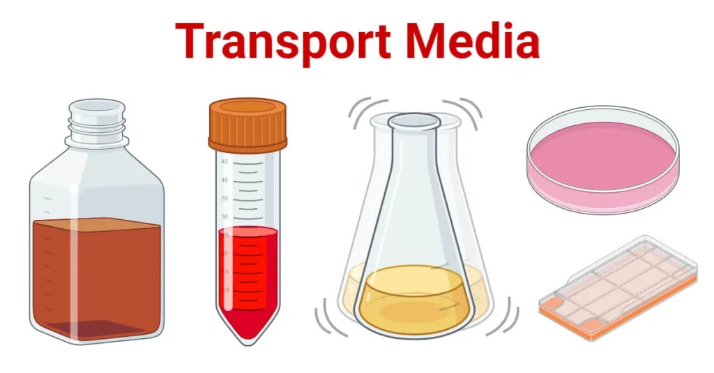 Culture Media