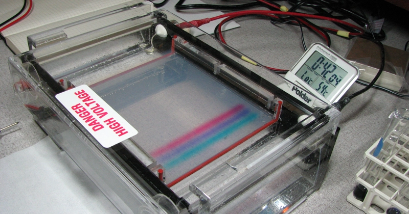 Electrophoresis