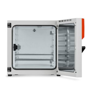 محفظه شیشه ای انکوباتور بدون فن Binder 115 BD