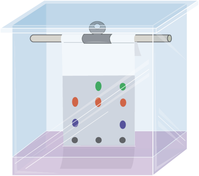 Paper chromatography