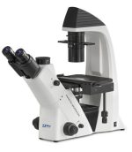 Inverted microscope KERN OCM 161