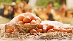 آنالیز پارامترهای تخم مرغ
