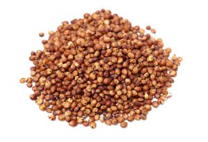سورگوم (Sorghum)