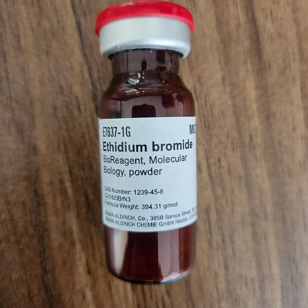 Ethidium Bromide E7637 Ethidium Bromide E7637