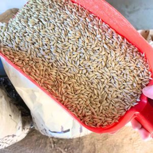 ساخت غذای دام خانگی