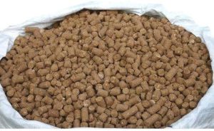 غذای دام